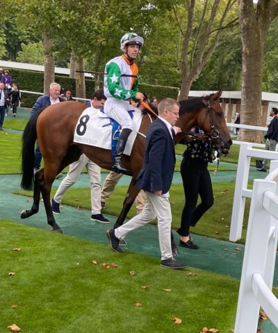 French Group 3 Success For Tiger Belle
