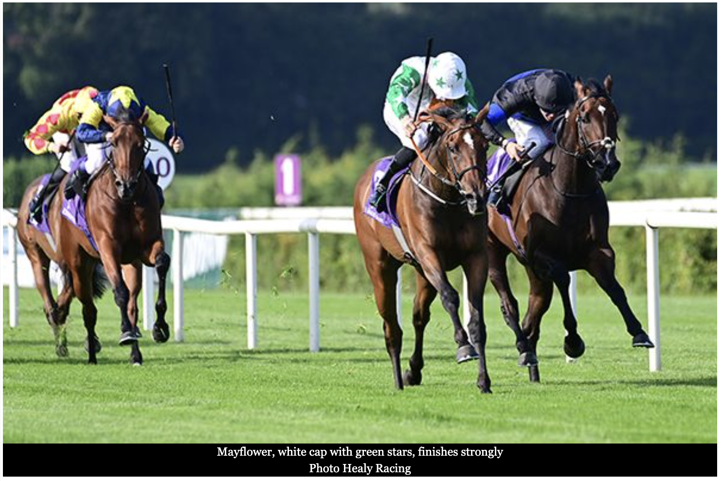 Mayflower shows plenty on debut in Leopardstown