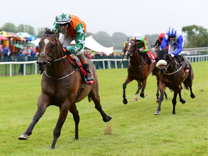 Stephen Thorne Racing horse in action