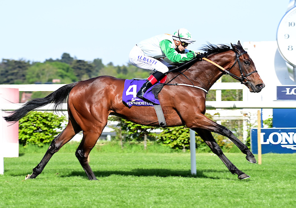 Racehorse and jockey