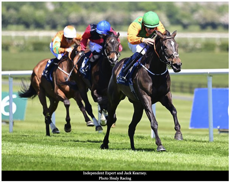 Independent Expert makes breakthrough for Thorne