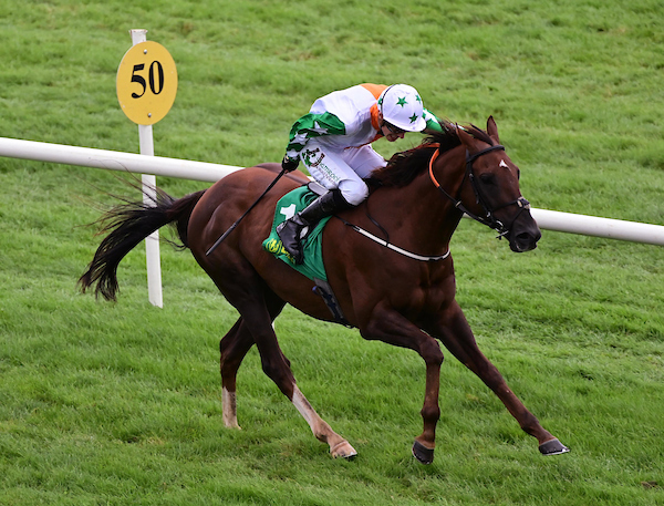 Racing at Listowel