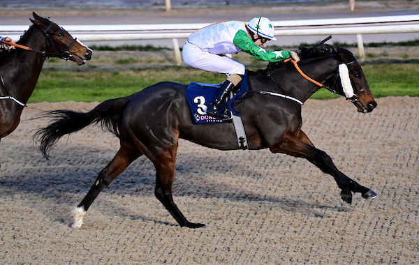 Shoot to Kill wins at Dundalk