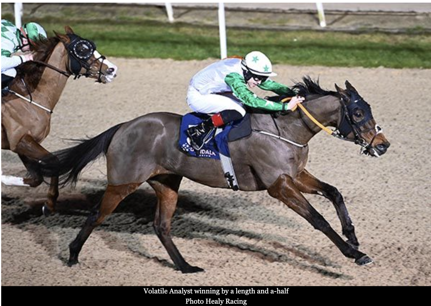 Thorne happy to see Volatile Analyst taste success again